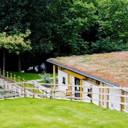 battersea-old-windsor-new-cattery-01